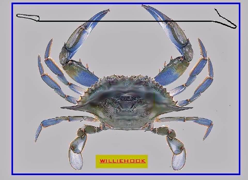Willie (Crab) Hook - West Coast Camping and Fishing